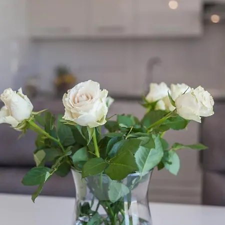 Luxury Three Bedrooms Silver Near 아파트